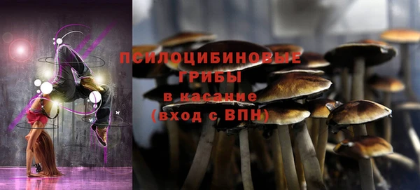 ГАЛЛЮЦИНОГЕННЫЕ ГРИБЫ Аркадак