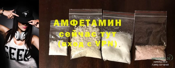 ГАЛЛЮЦИНОГЕННЫЕ ГРИБЫ Аркадак