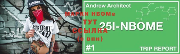 индика Арсеньев