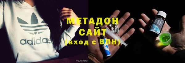 индика Арсеньев