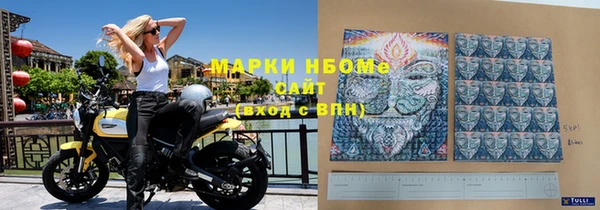 ГАЛЛЮЦИНОГЕННЫЕ ГРИБЫ Аркадак