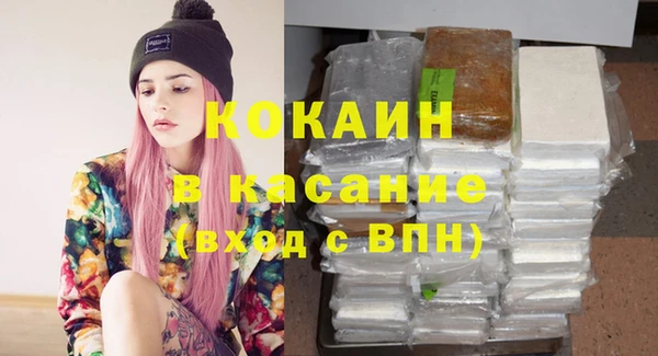 ГАЛЛЮЦИНОГЕННЫЕ ГРИБЫ Аркадак