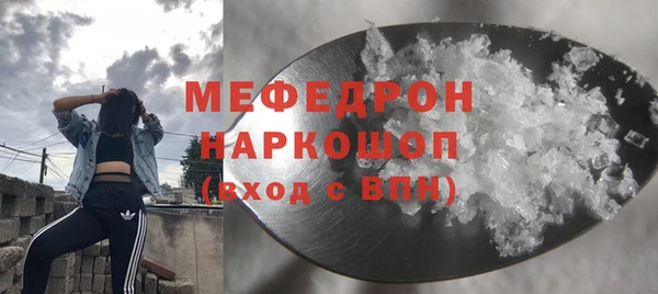 индика Арсеньев